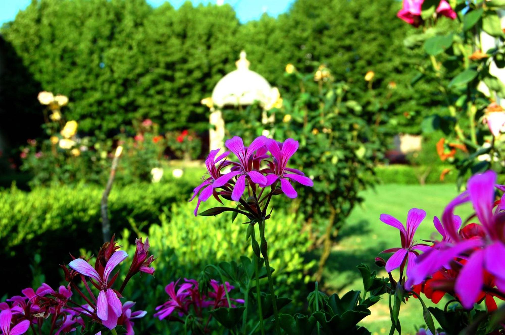 Hotel Villa San Donino Città di Castello Eksteriør billede